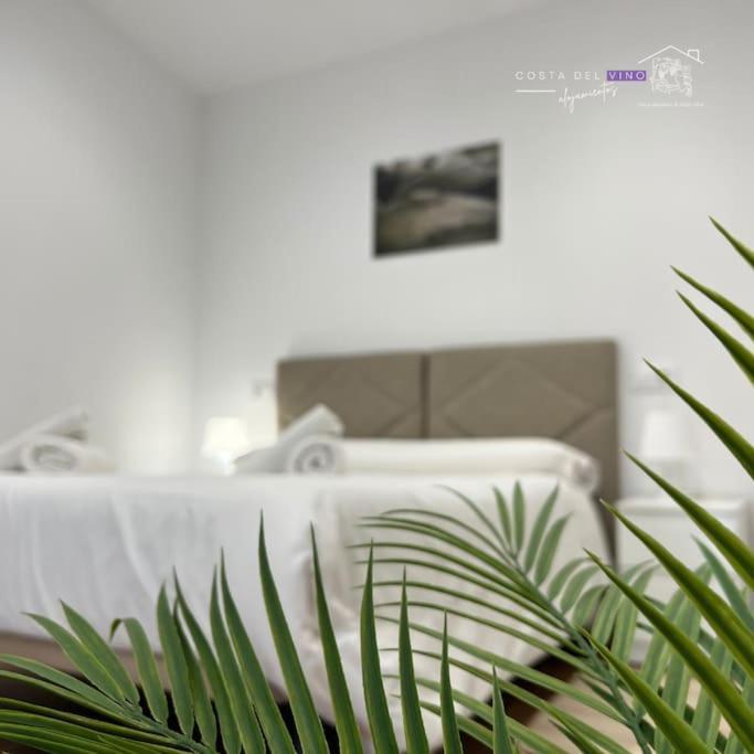 Apartamento El Mozo Labastida Dış mekan fotoğraf